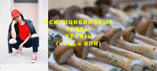 МДПВ Арсеньев