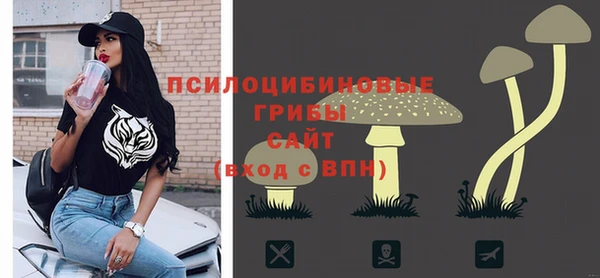 МДПВ Арсеньев